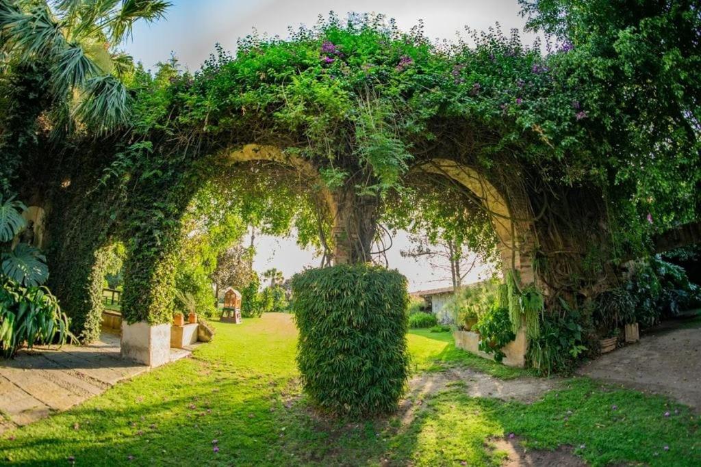 Finca San Javier El Arenal  Dış mekan fotoğraf